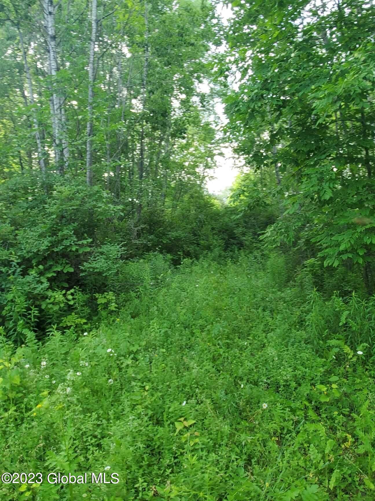 L10 Toback Road Charleston NY 12066