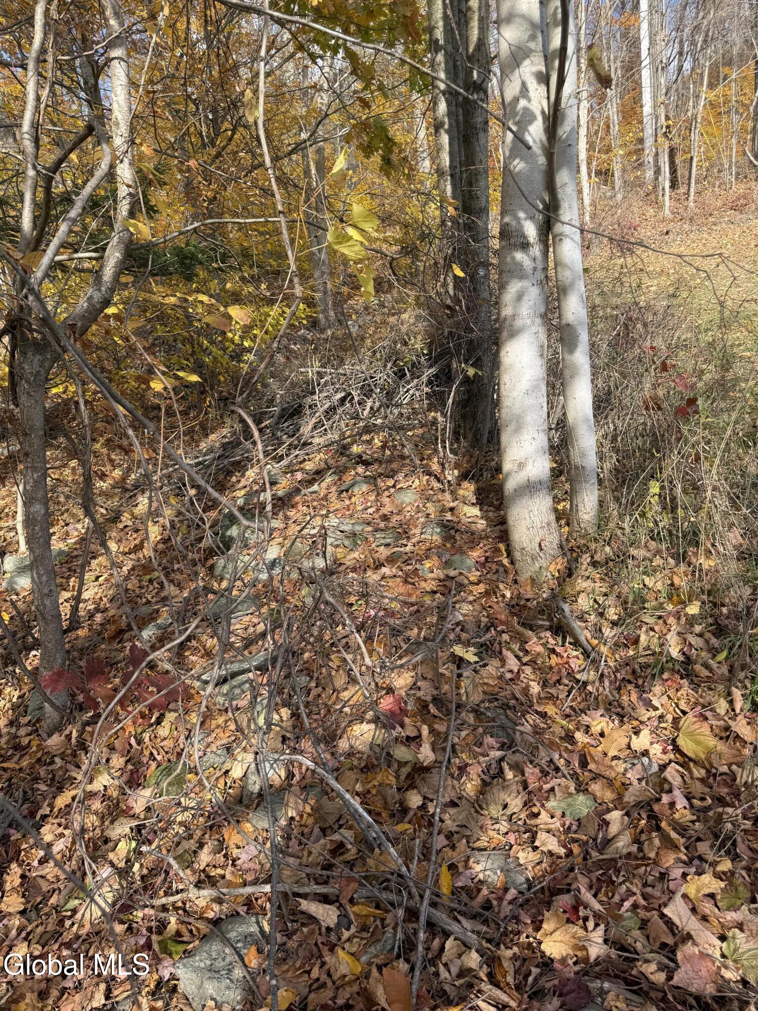 1585 Carlton Road Whitehall NY 12887