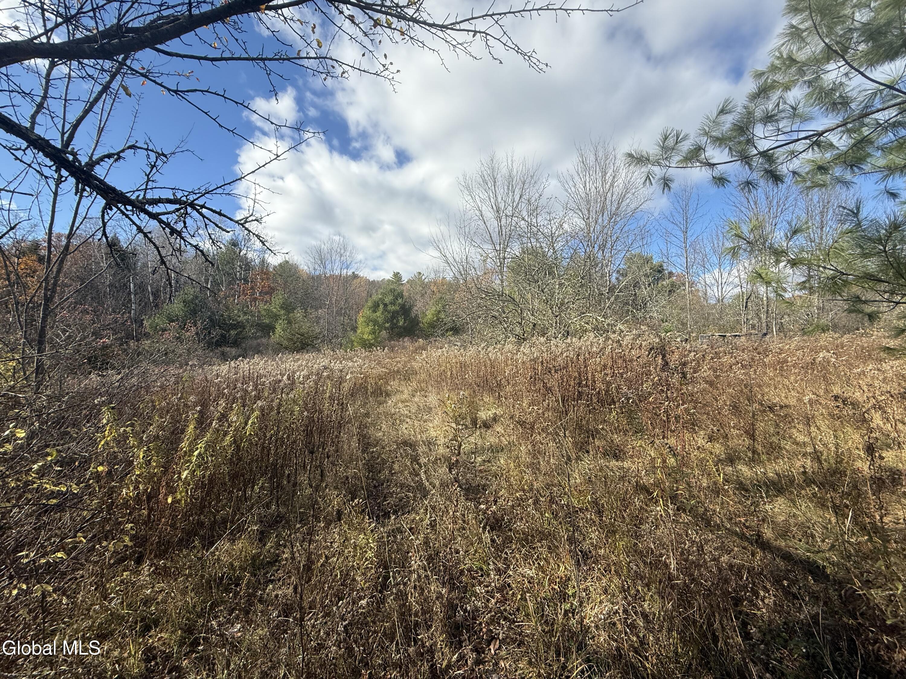 1585 Carlton Road Whitehall NY 12887