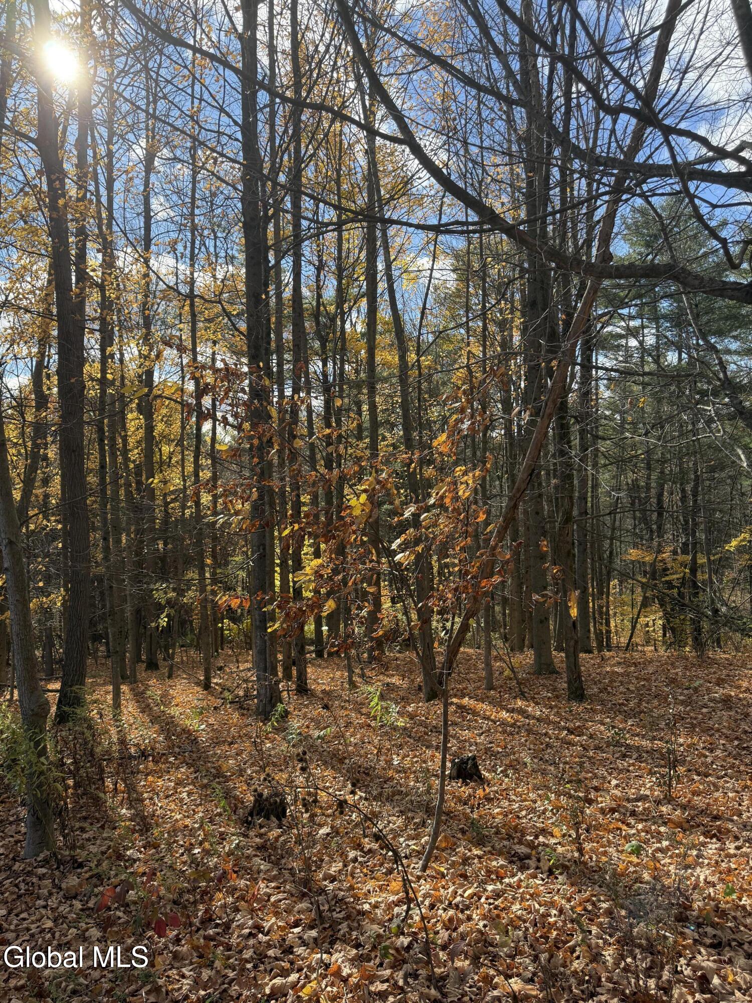 1585 Carlton Road Whitehall NY 12887
