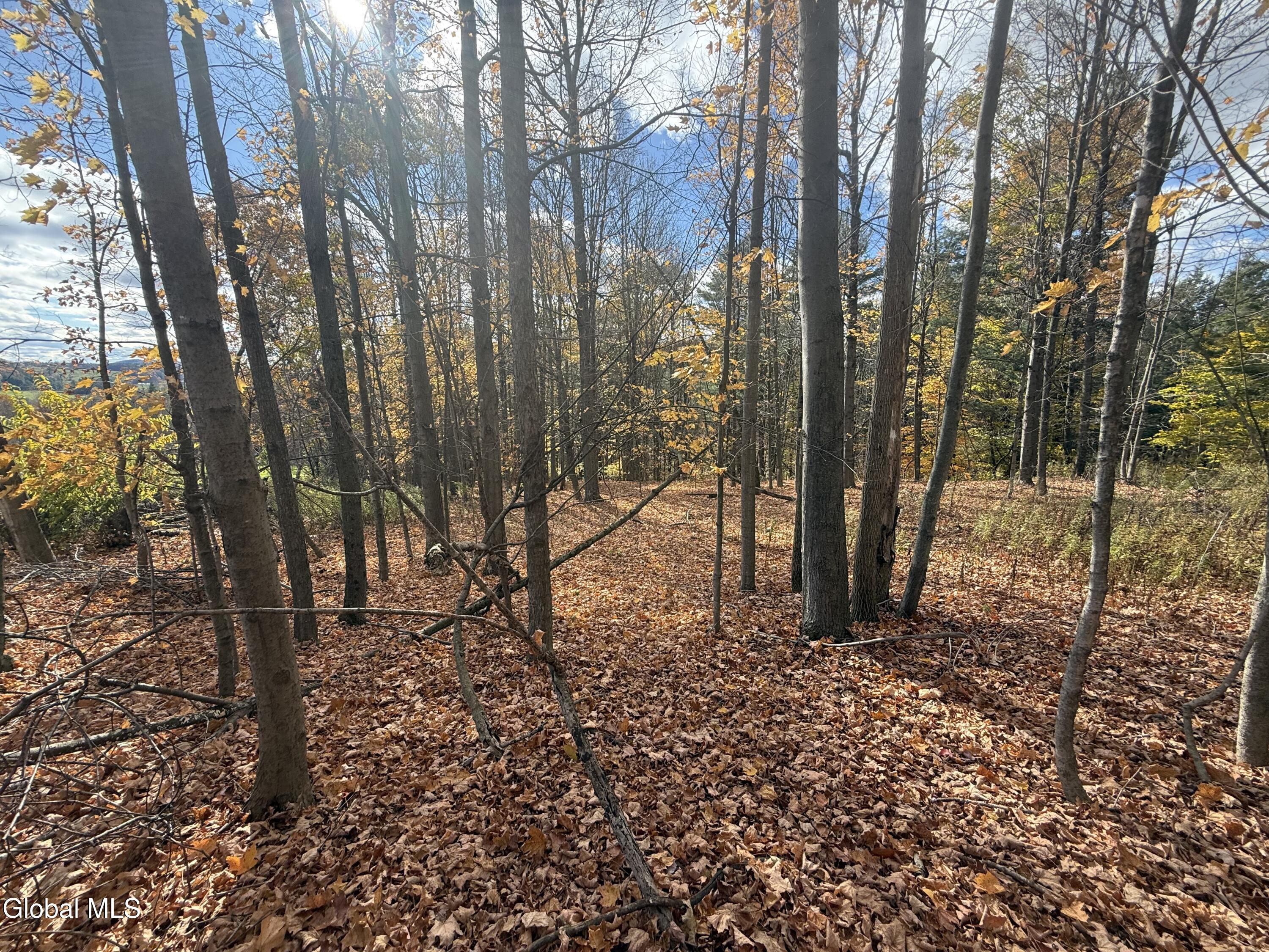 1585 Carlton Road Whitehall NY 12887