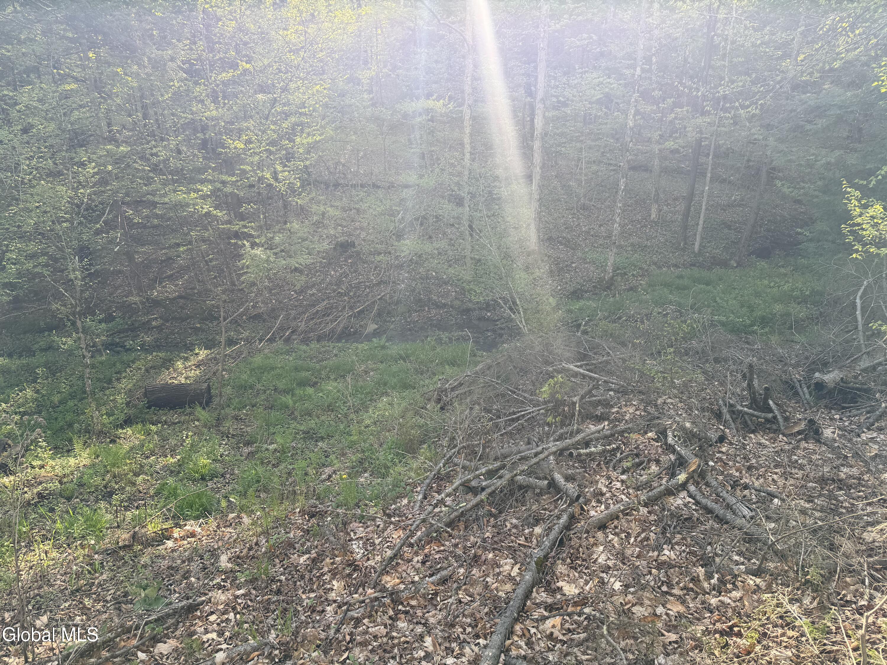 1585 Carlton Road Whitehall NY 12887