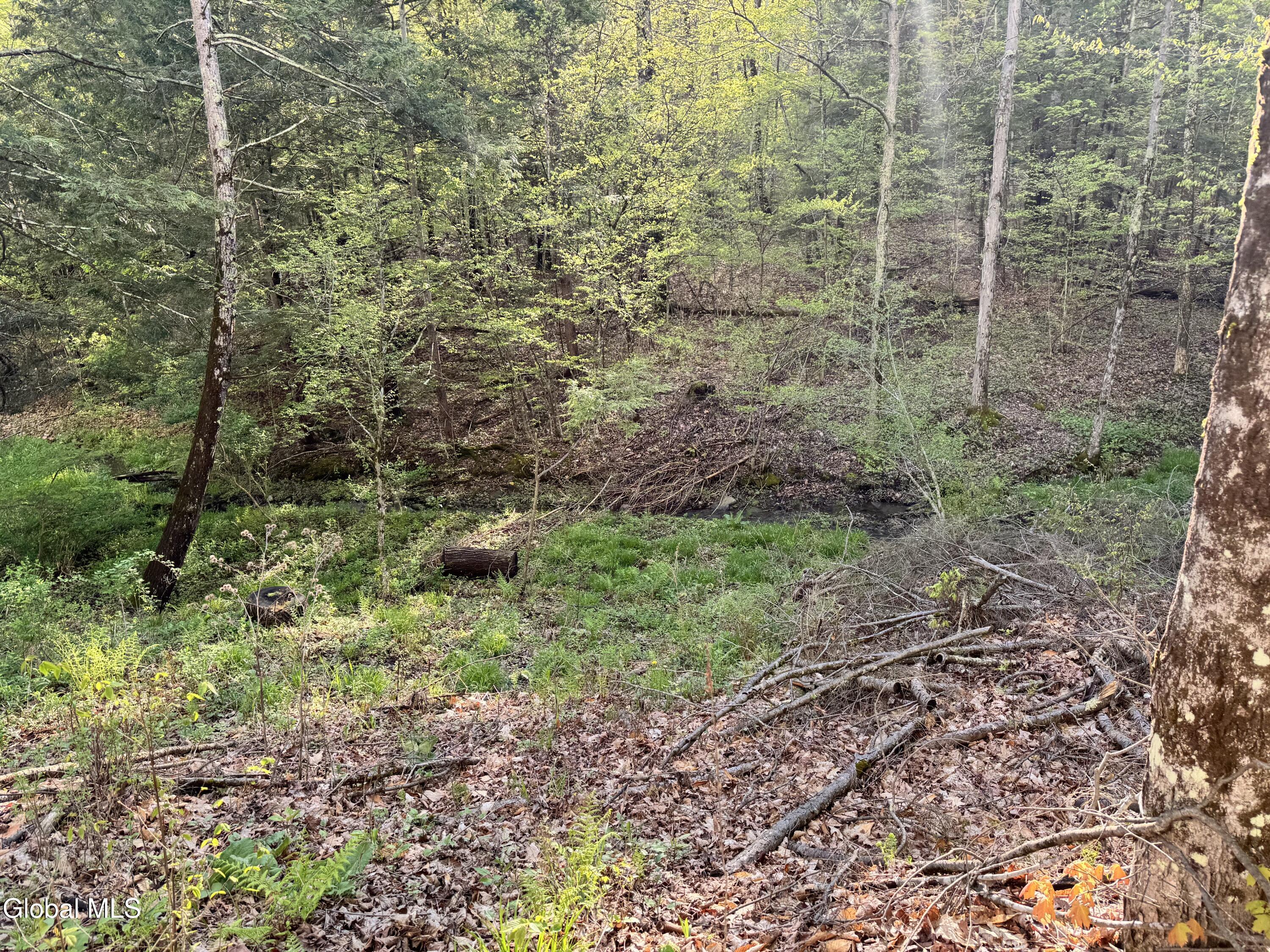 1585 Carlton Road Whitehall NY 12887