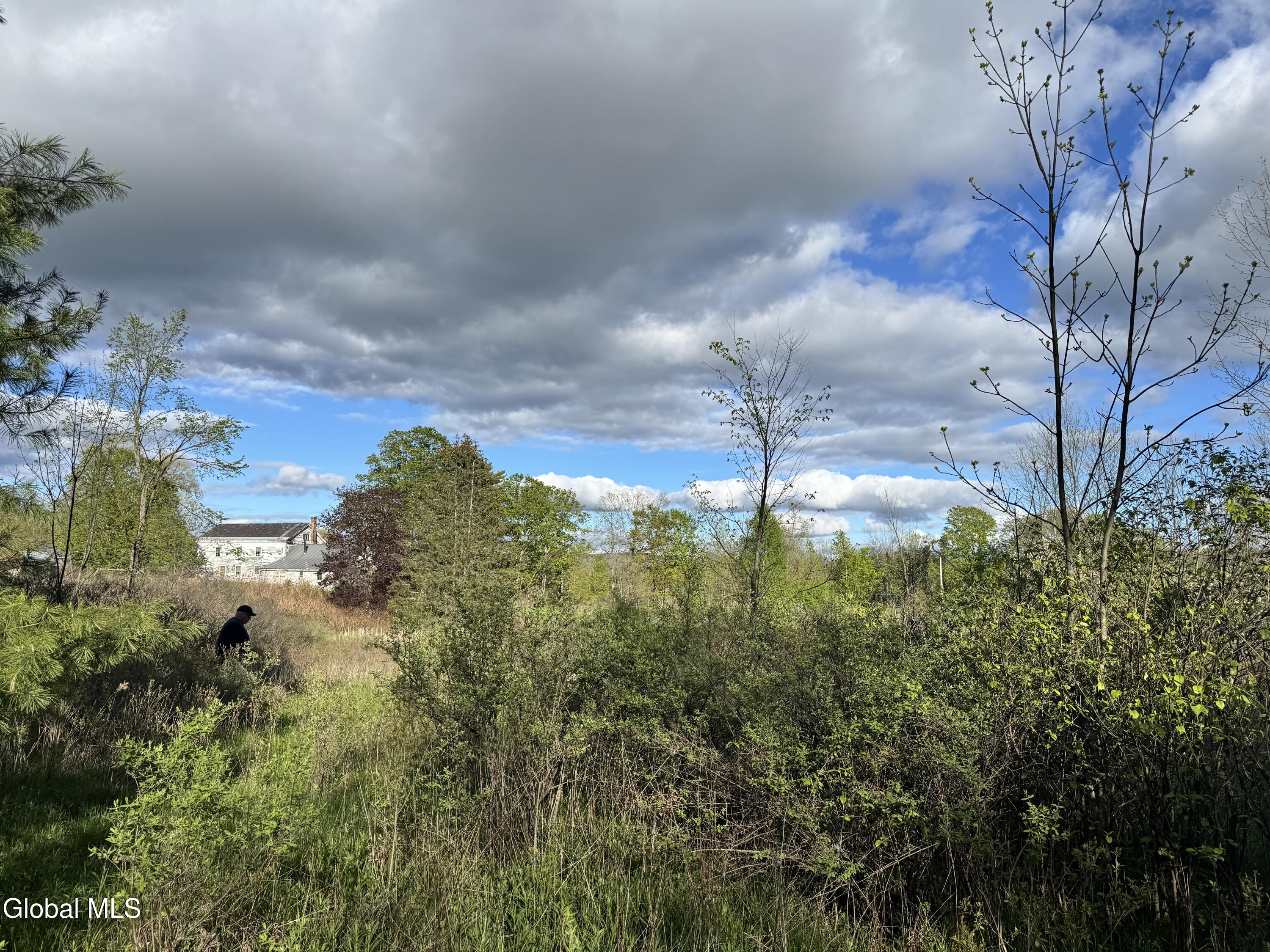 1585 Carlton Road Whitehall NY 12887
