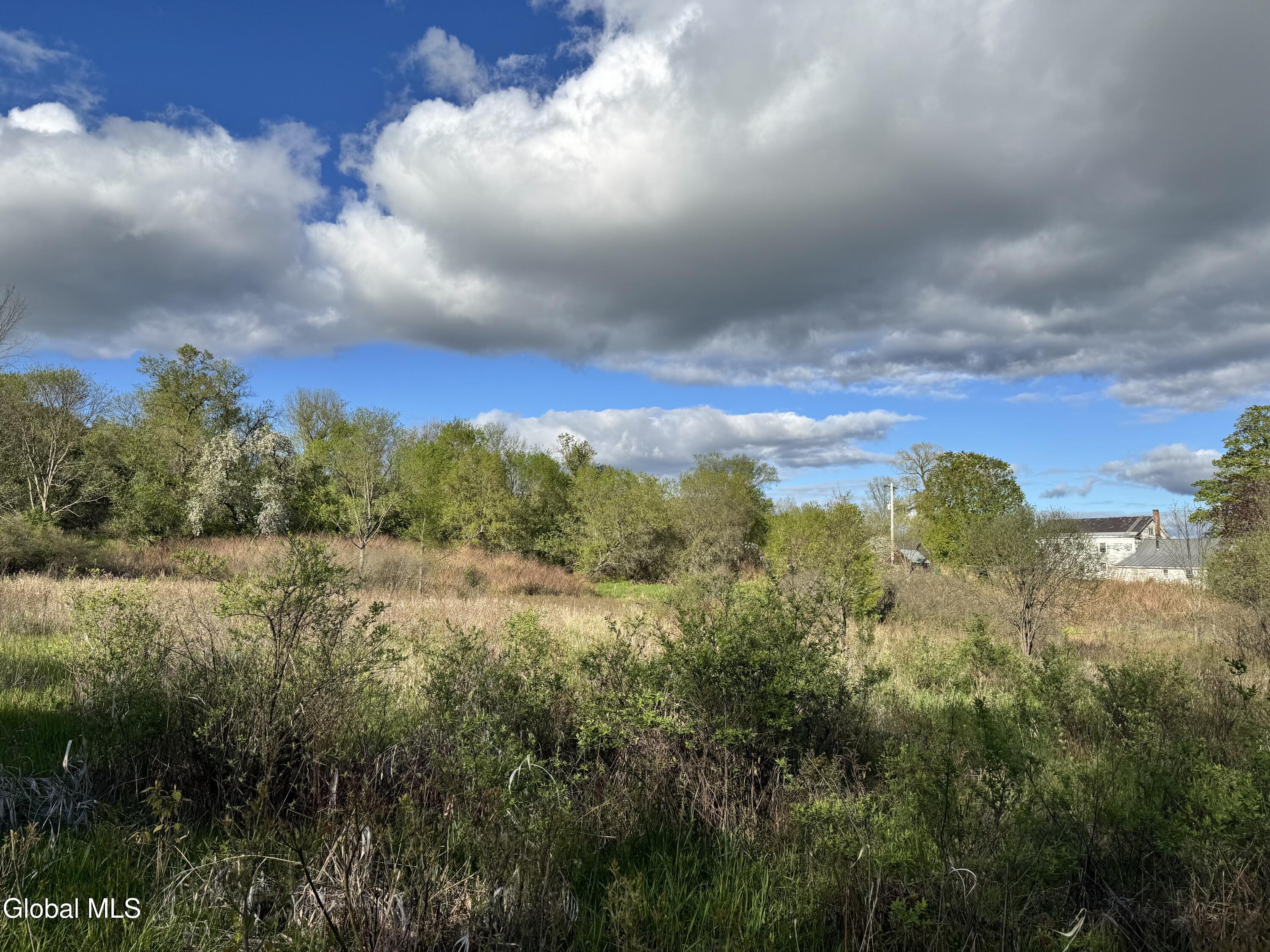 1585 Carlton Road Whitehall NY 12887