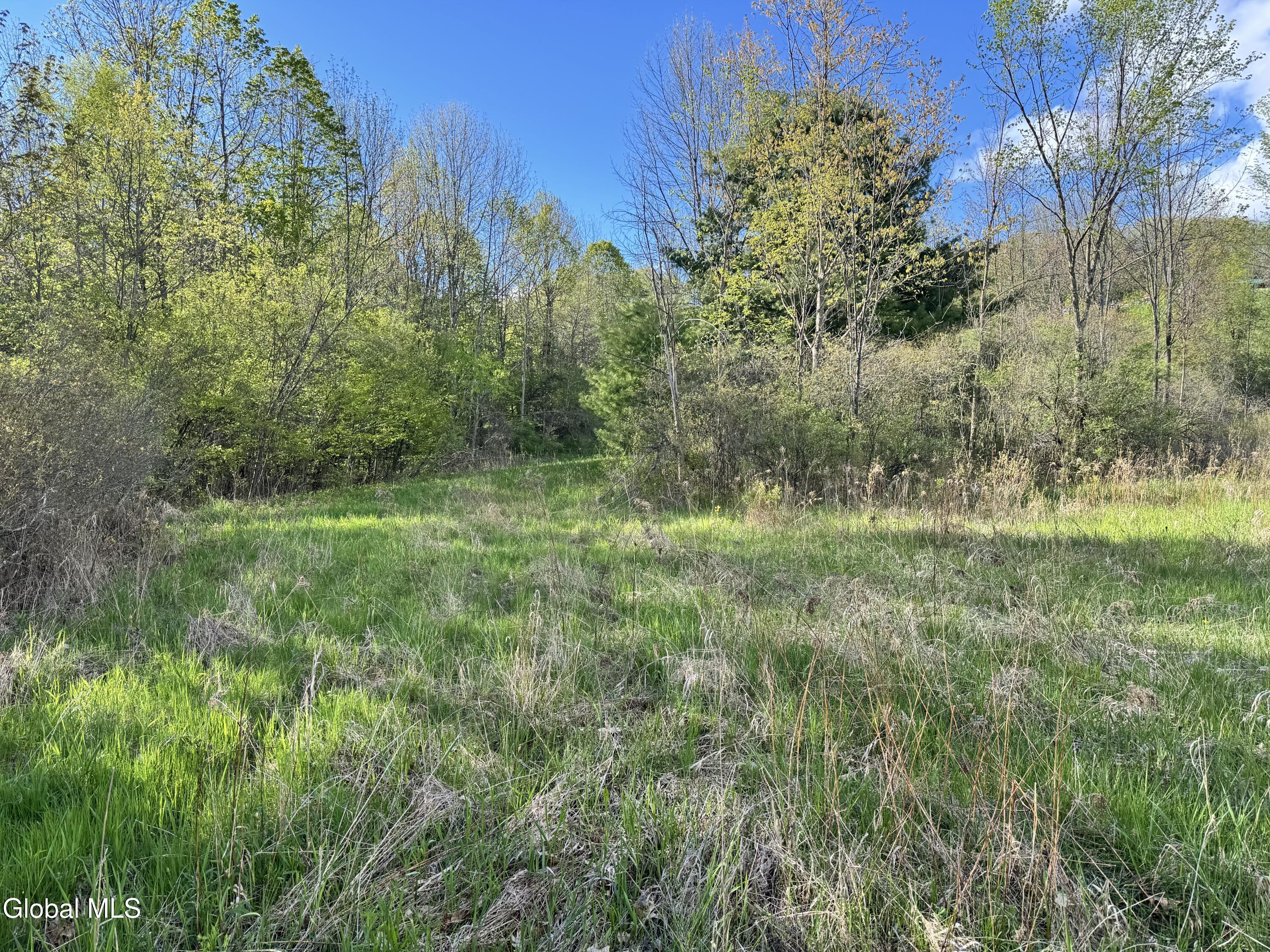 1585 Carlton Road Whitehall NY 12887