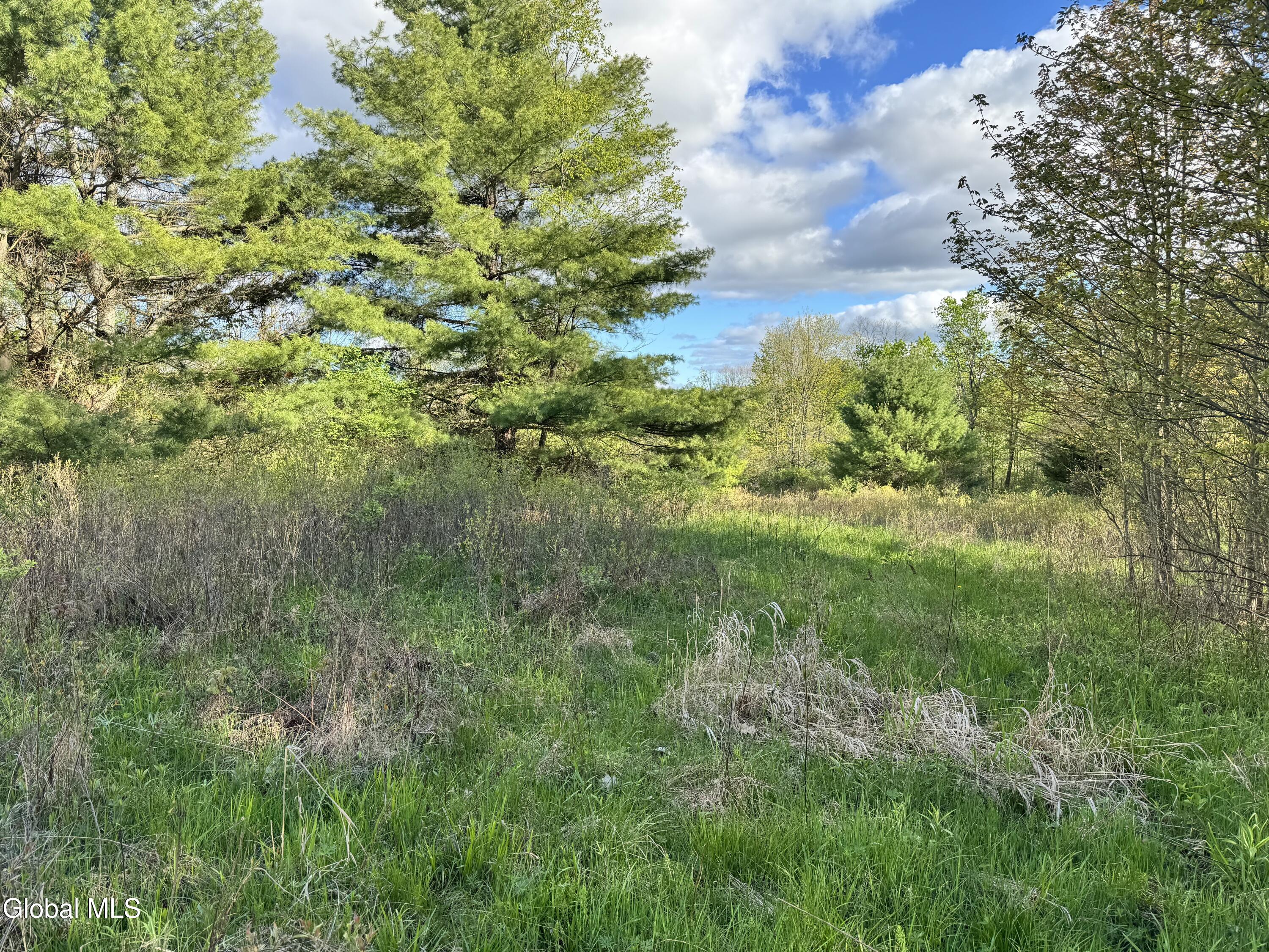 1585 Carlton Road Whitehall NY 12887