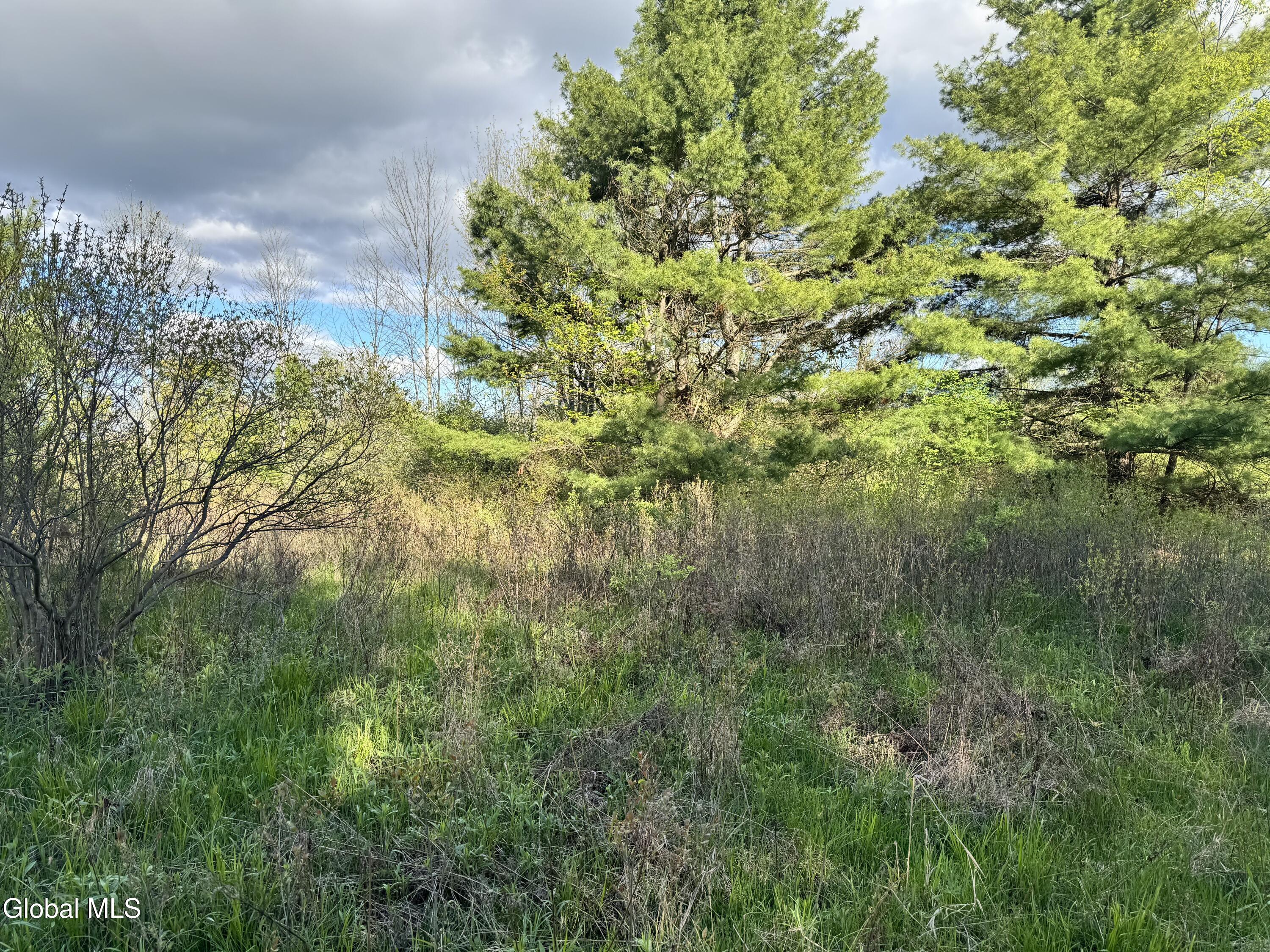 1585 Carlton Road Whitehall NY 12887