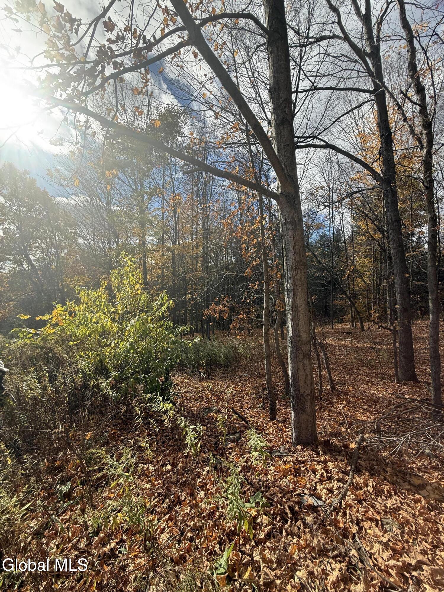 1585 Carlton Road Whitehall NY 12887
