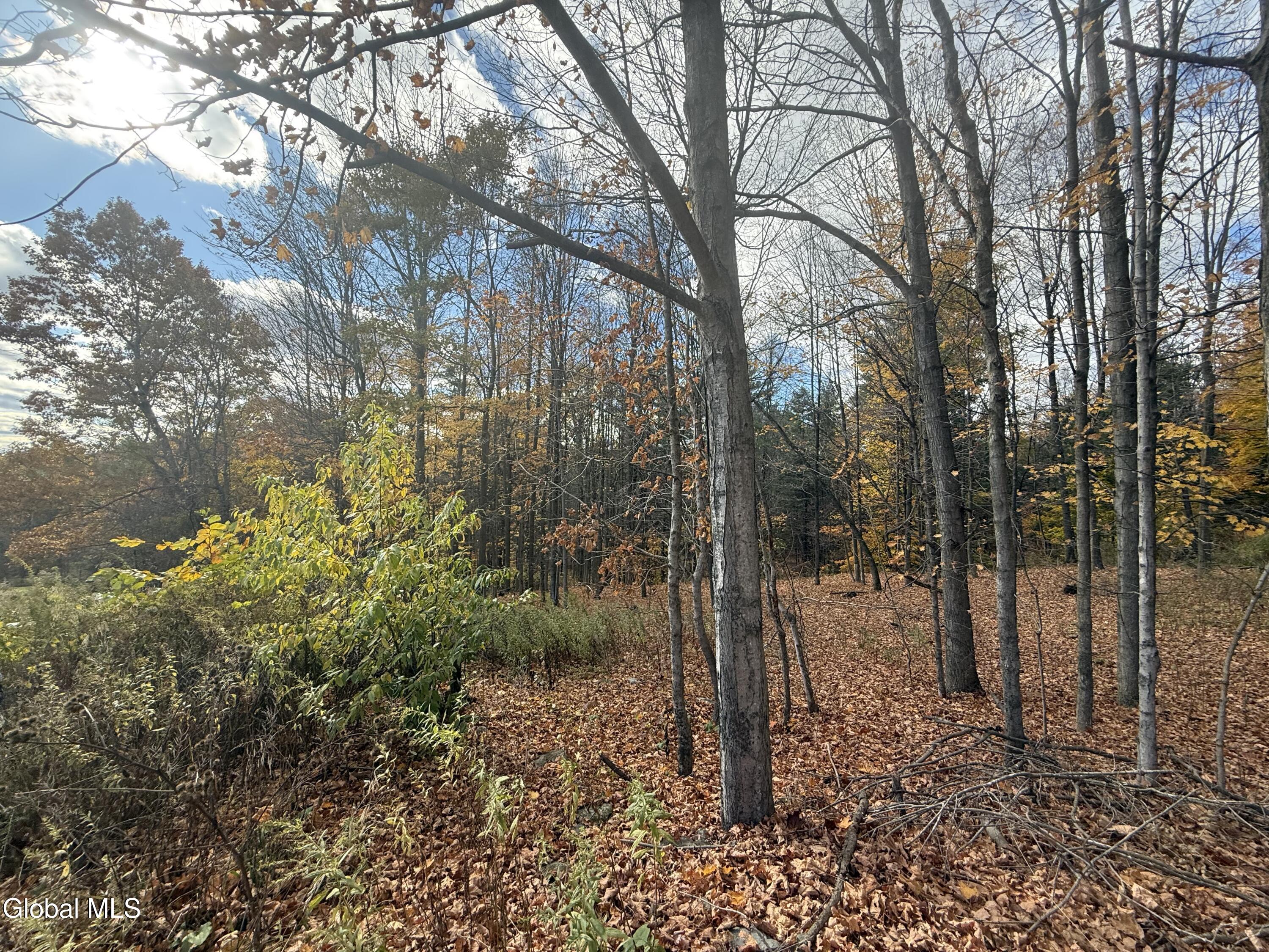 1585 Carlton Road Whitehall NY 12887