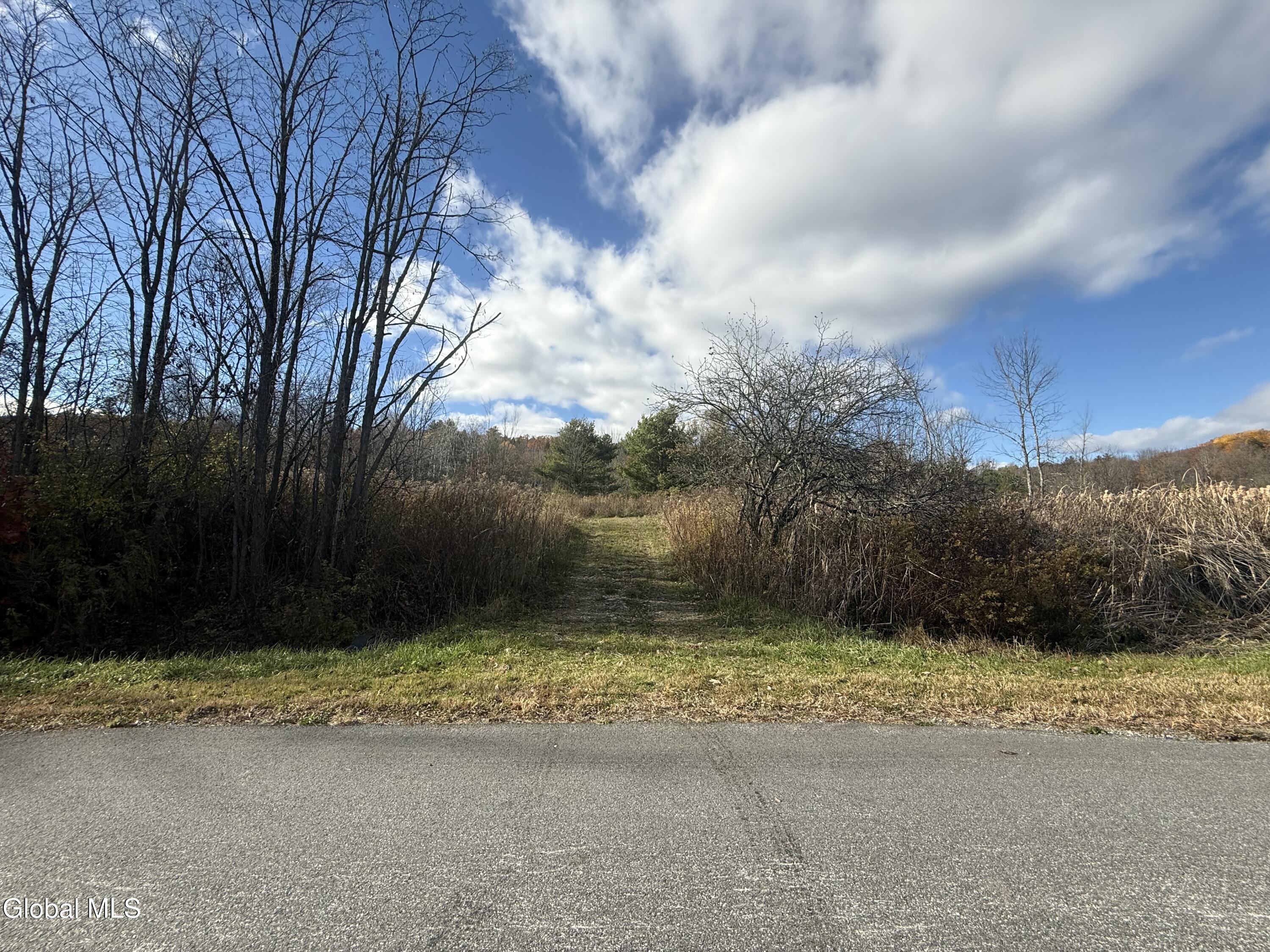 1585 Carlton Road Whitehall NY 12887