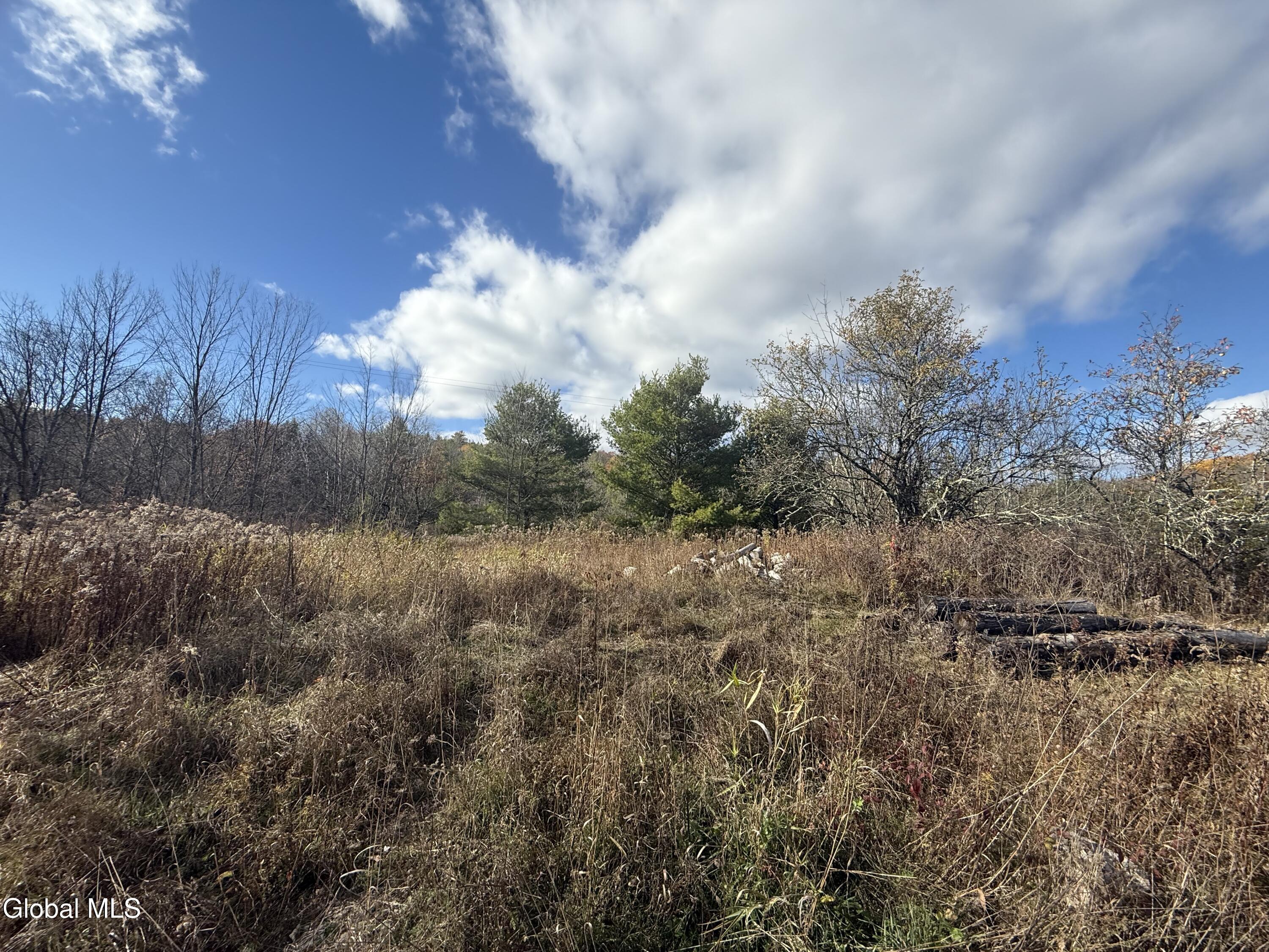1585 Carlton Road Whitehall NY 12887