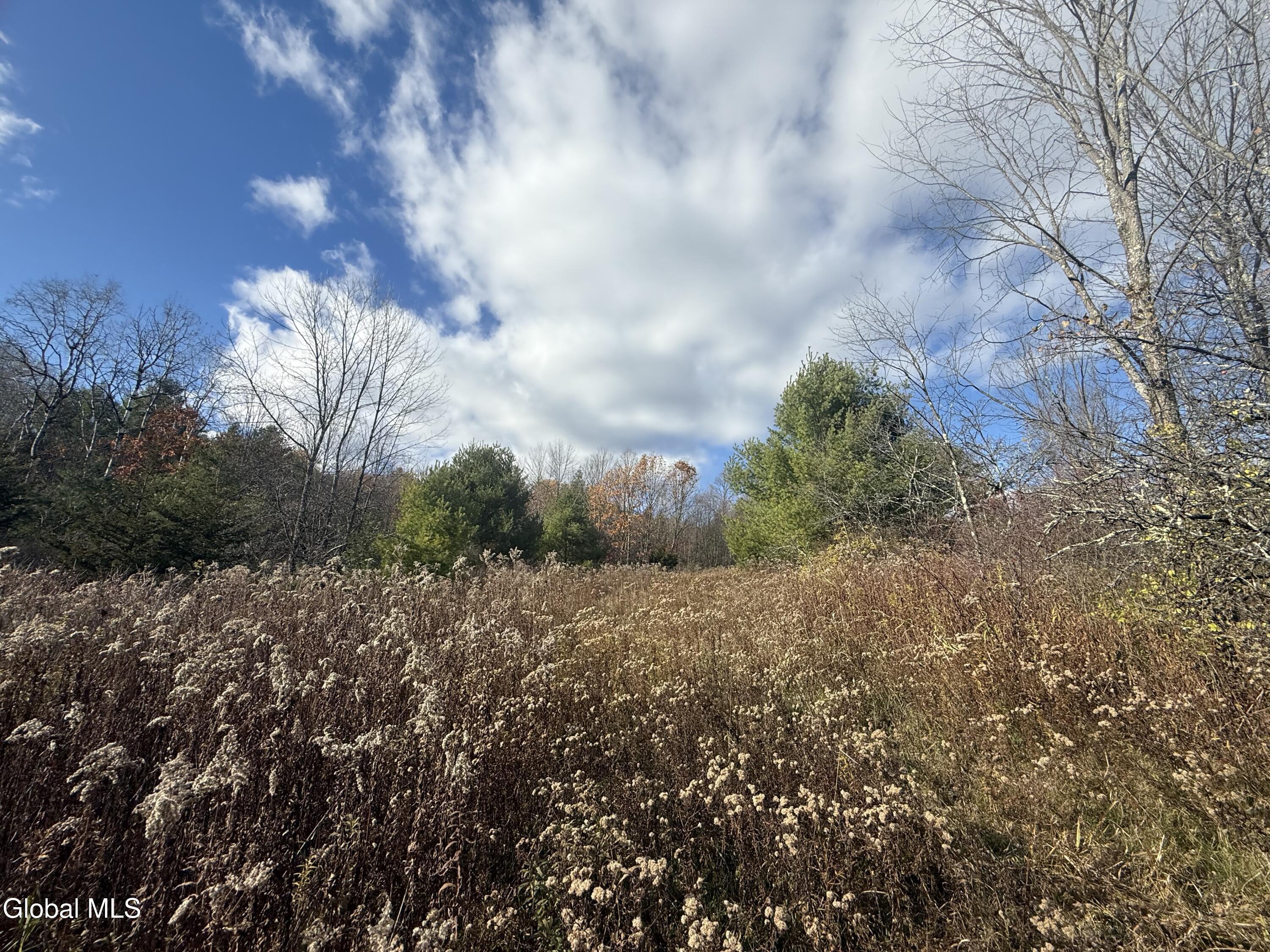 1585 Carlton Road Whitehall NY 12887