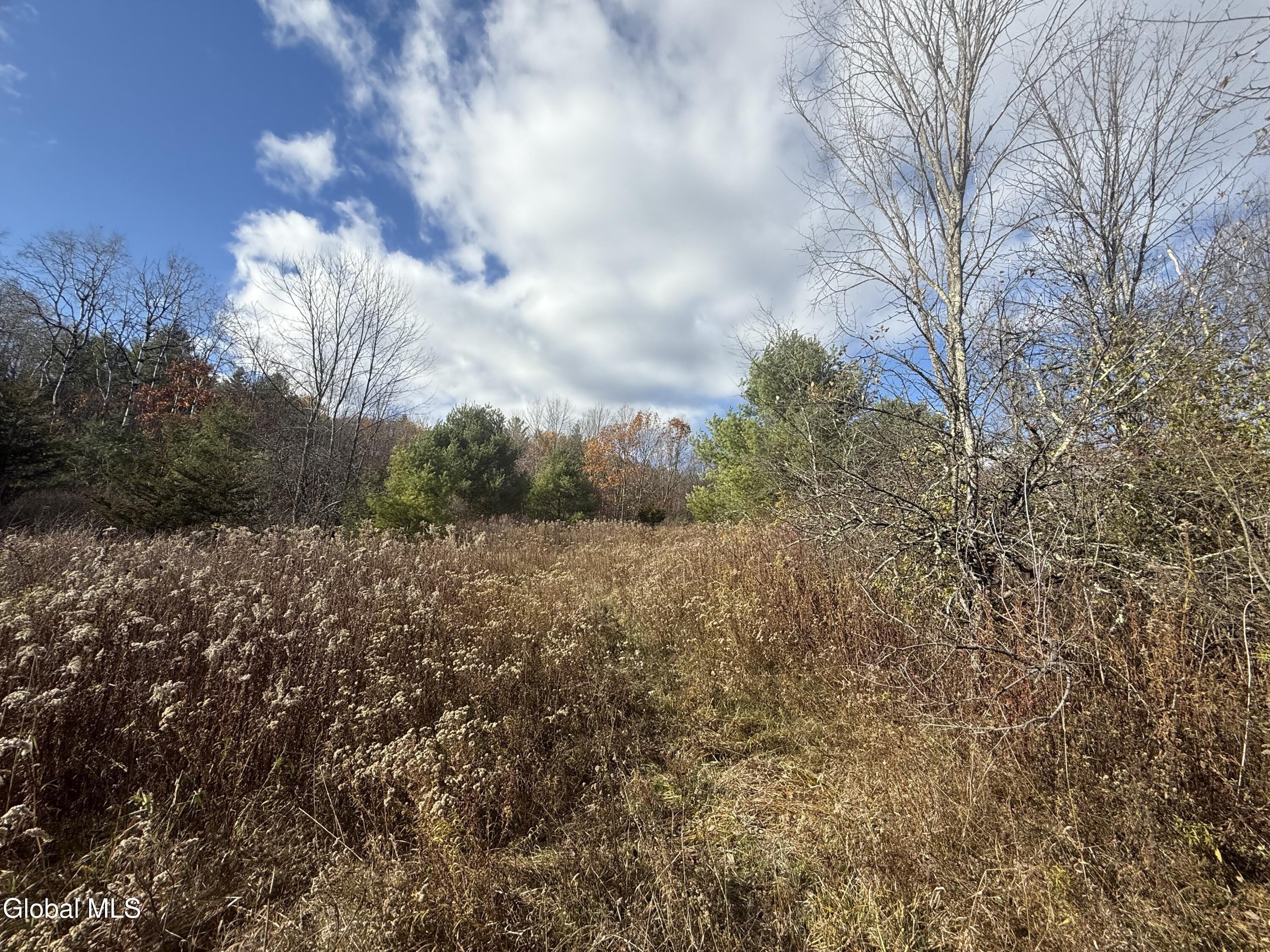 1585 Carlton Road Whitehall NY 12887