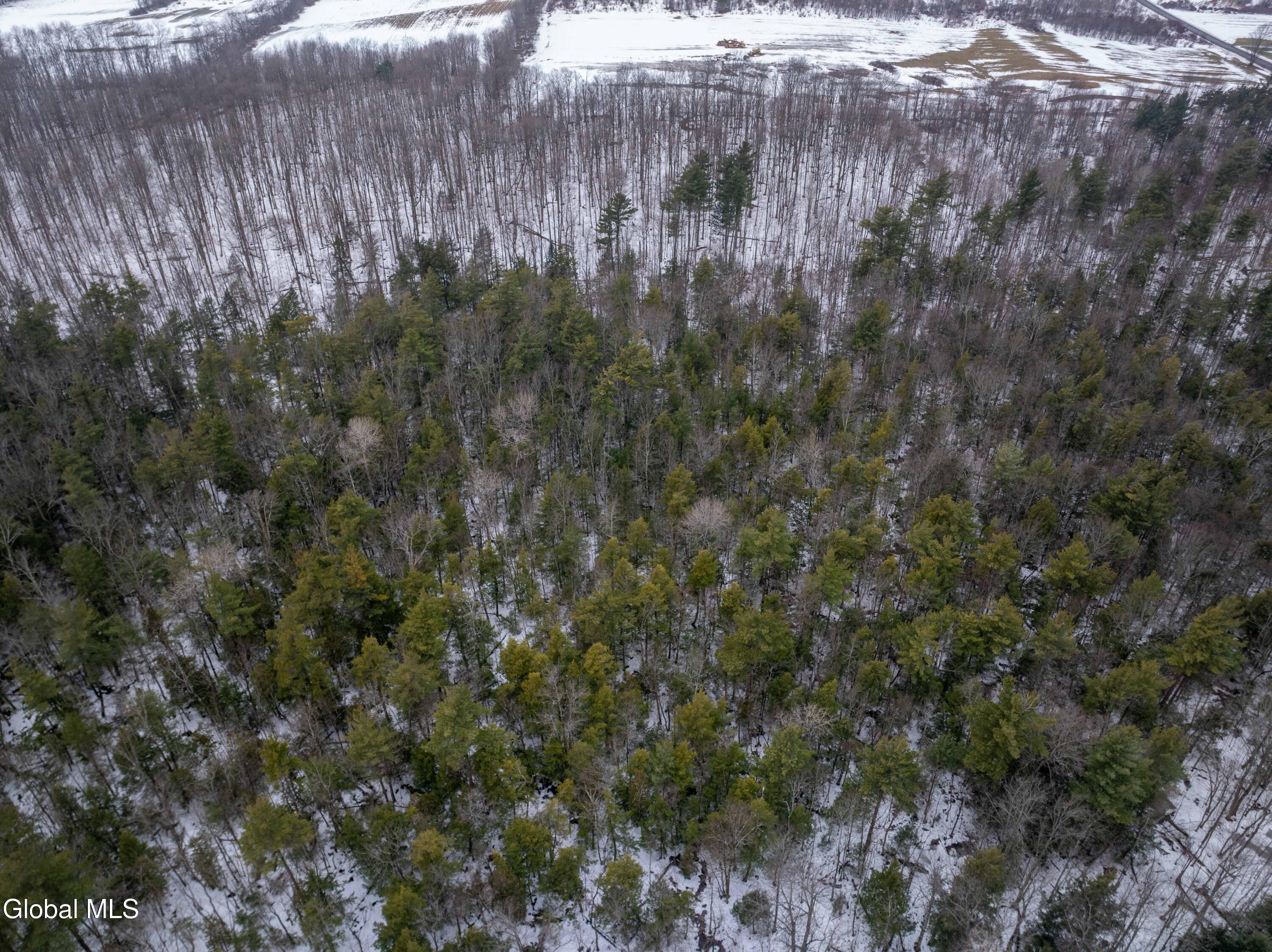 L1 Bear Swamp Road Cazenovia NY 13035