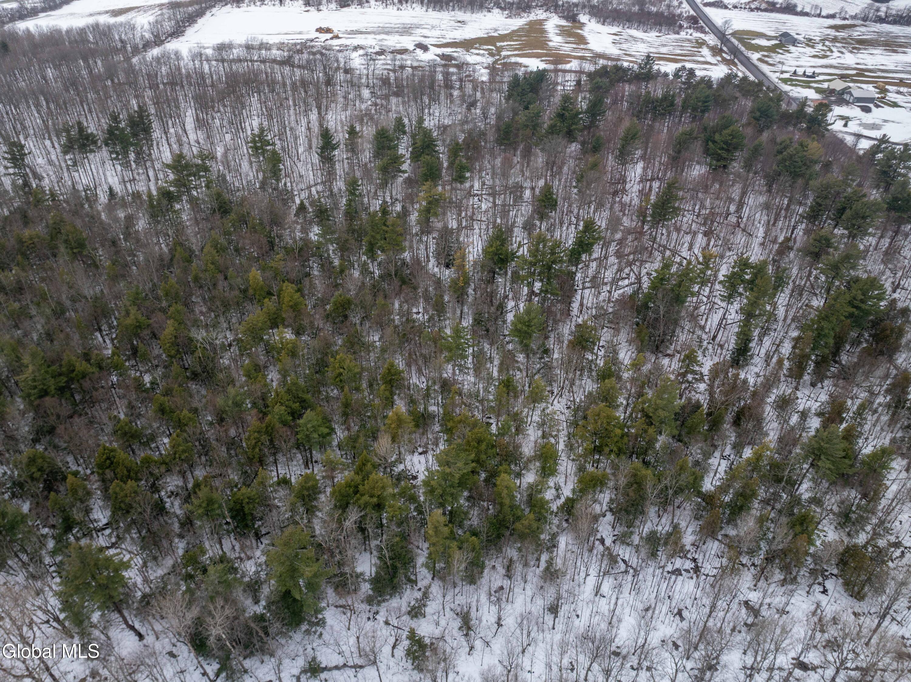 L1 Bear Swamp Road Cazenovia NY 13035