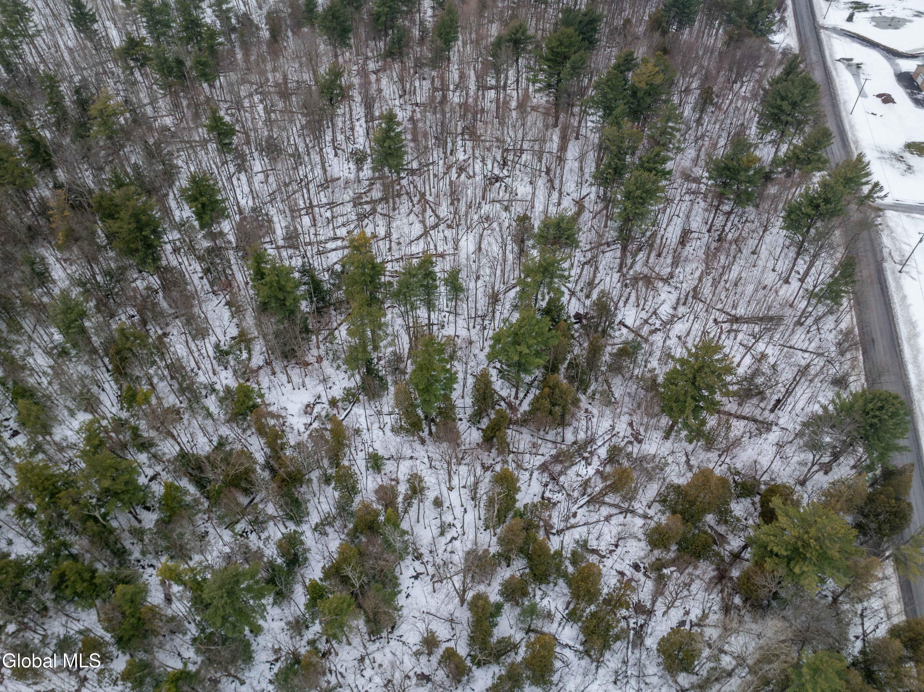 L1 Bear Swamp Road Cazenovia NY 13035