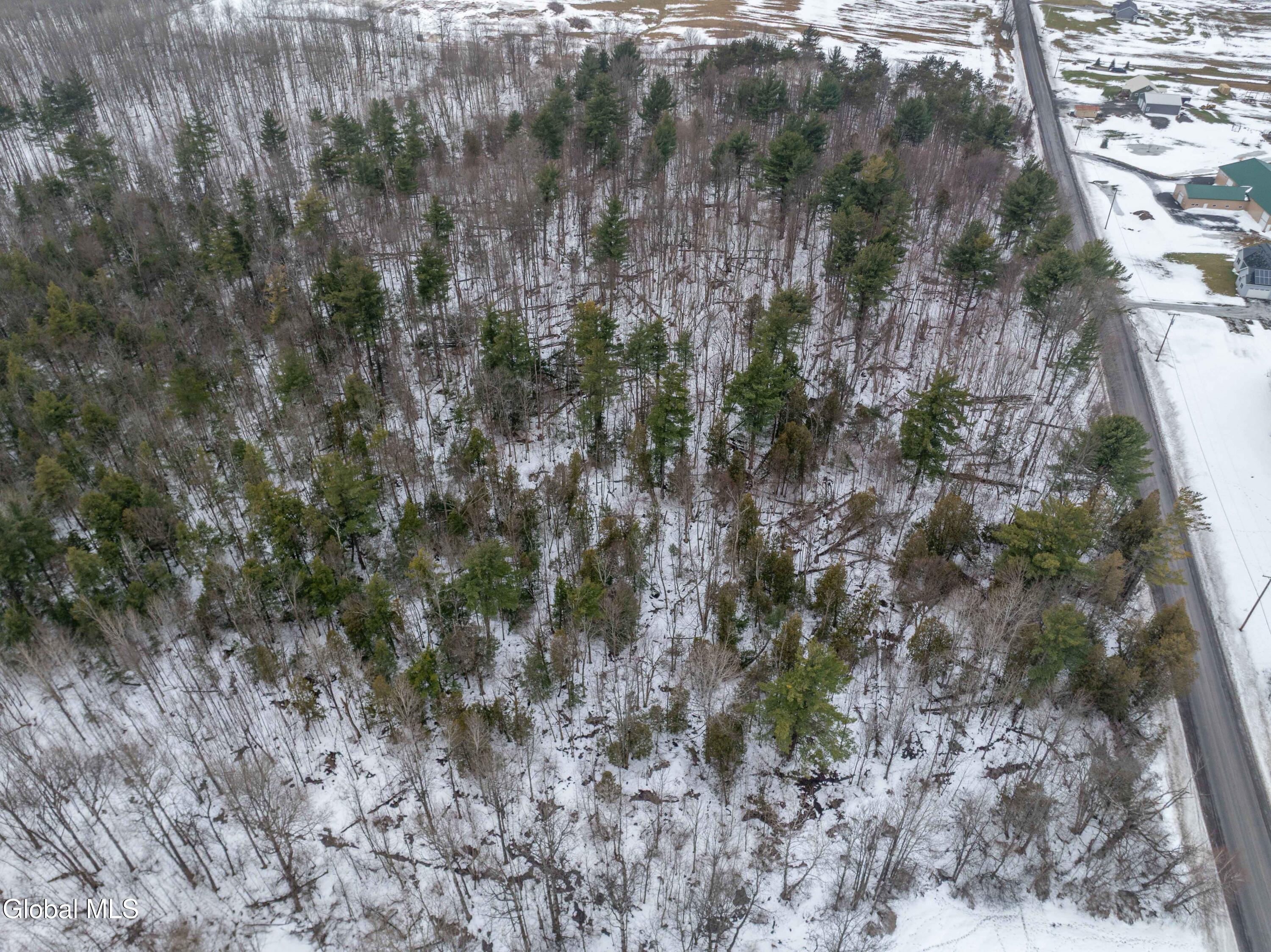 L1 Bear Swamp Road Cazenovia NY 13035