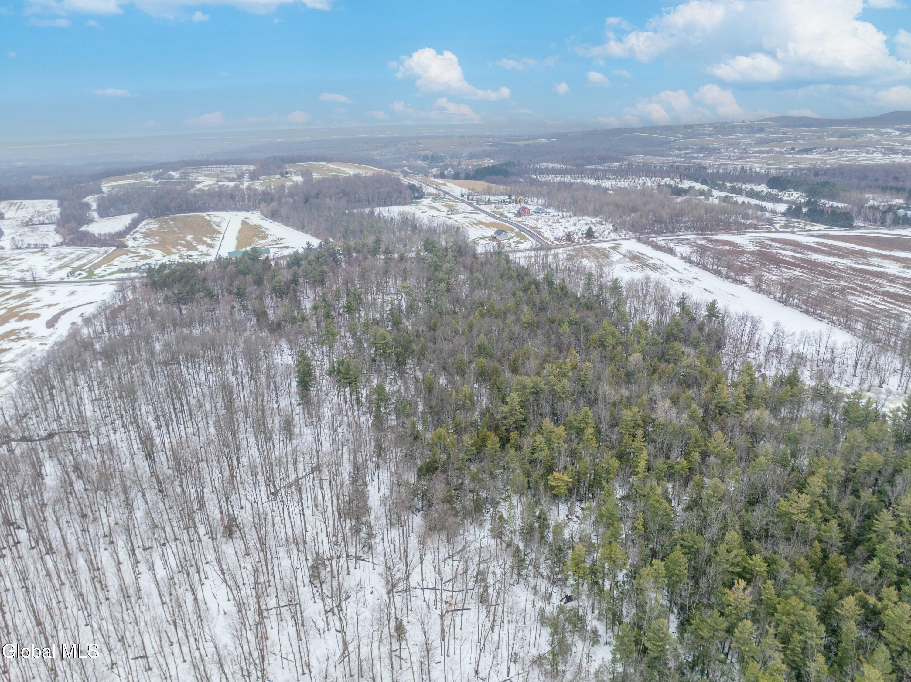 L1 Bear Swamp Road Cazenovia NY 13035