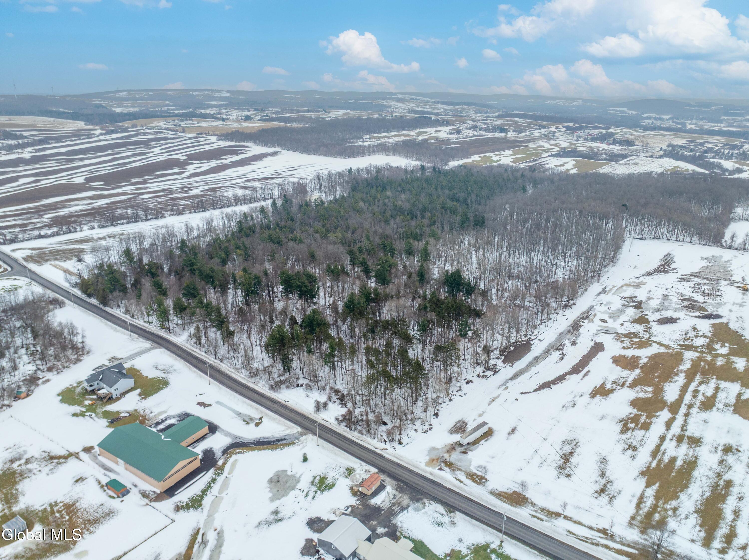 L1 Bear Swamp Road Cazenovia NY 13035