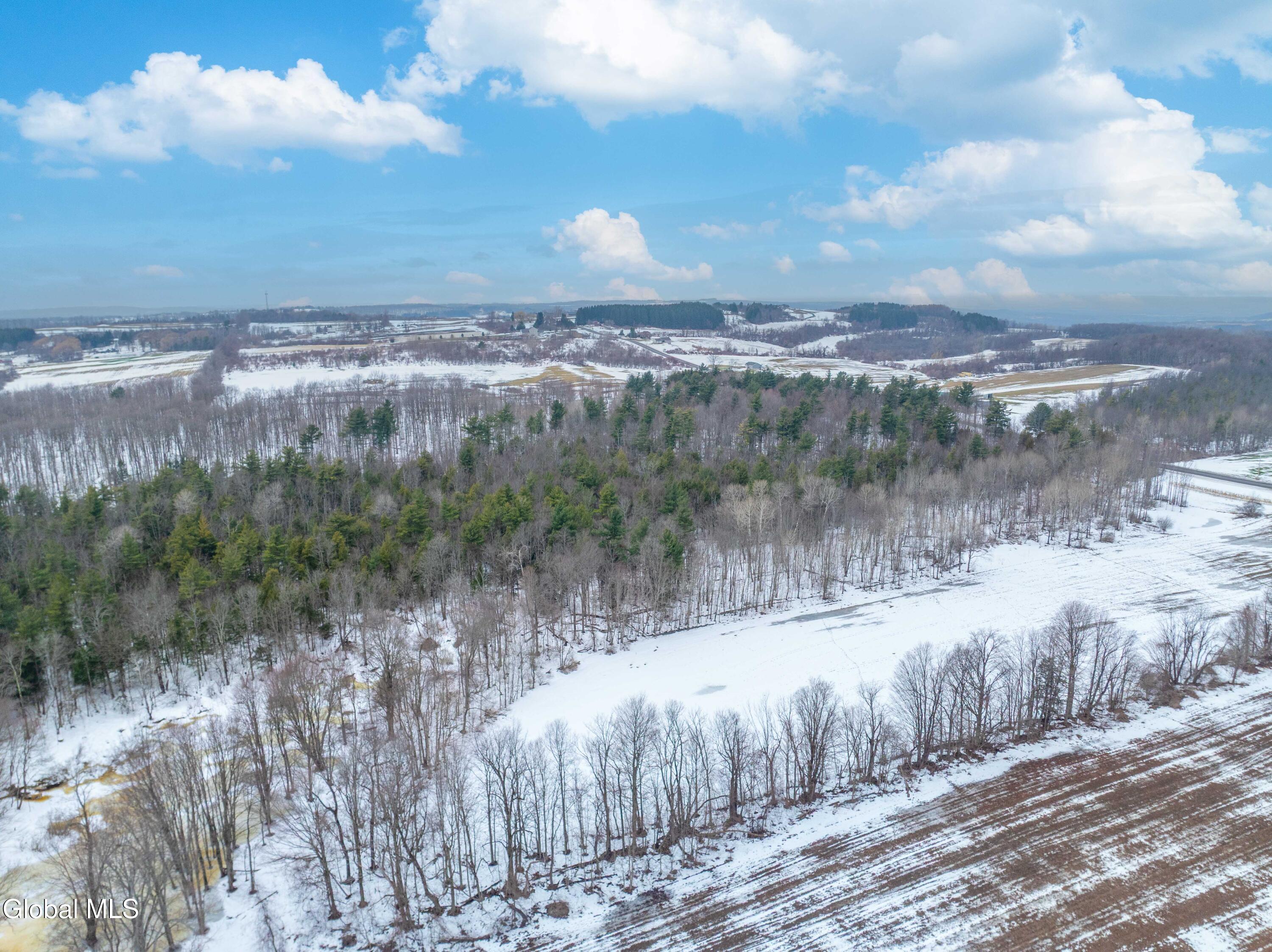 L1 Bear Swamp Road Cazenovia NY 13035