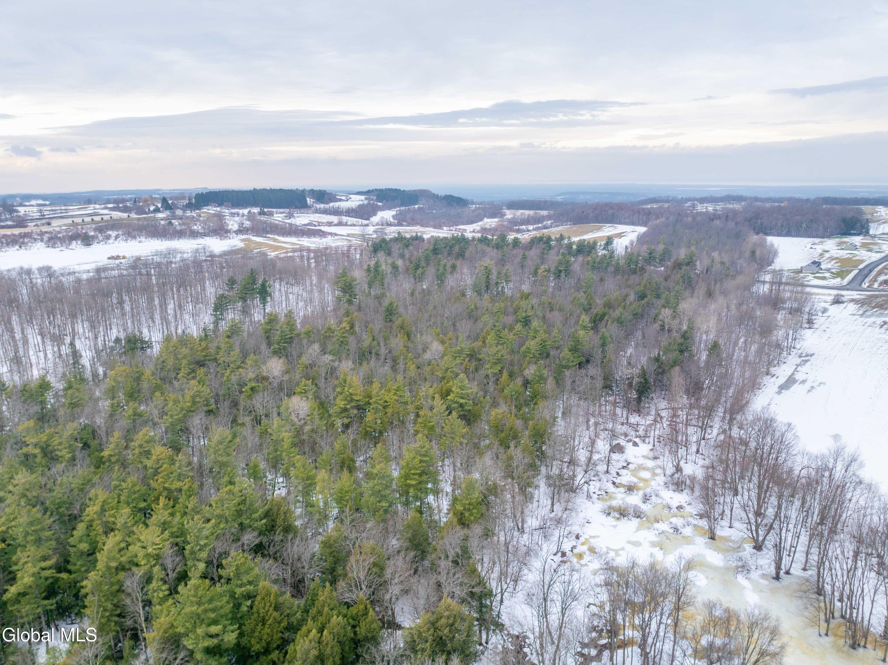 L1 Bear Swamp Road Cazenovia NY 13035