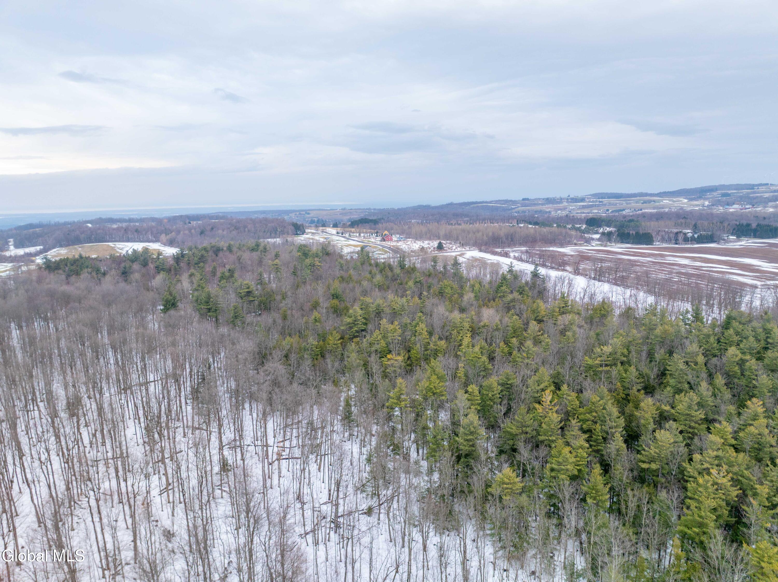 L1 Bear Swamp Road Cazenovia NY 13035