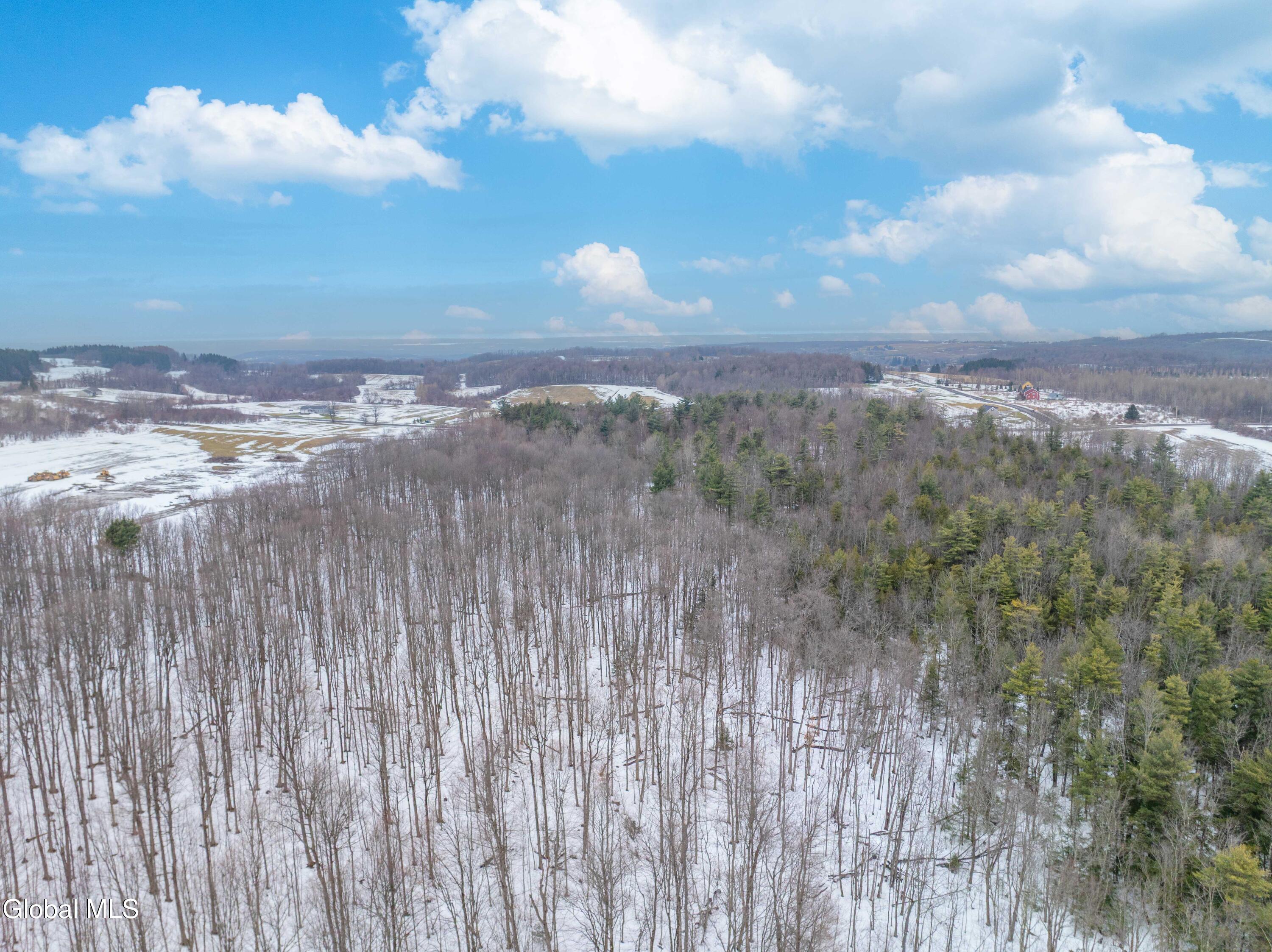 L1 Bear Swamp Road Cazenovia NY 13035