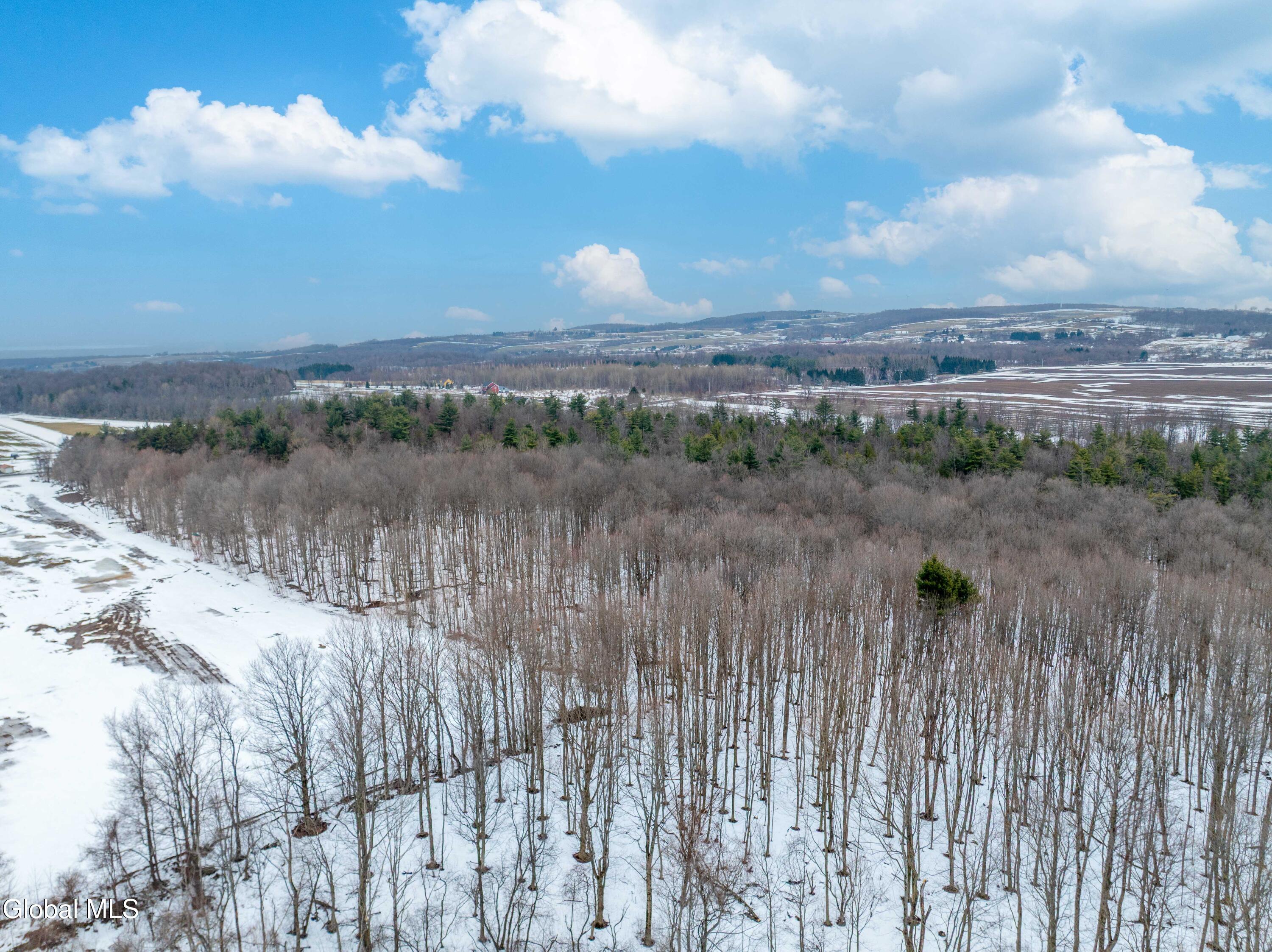 L1 Bear Swamp Road Cazenovia NY 13035