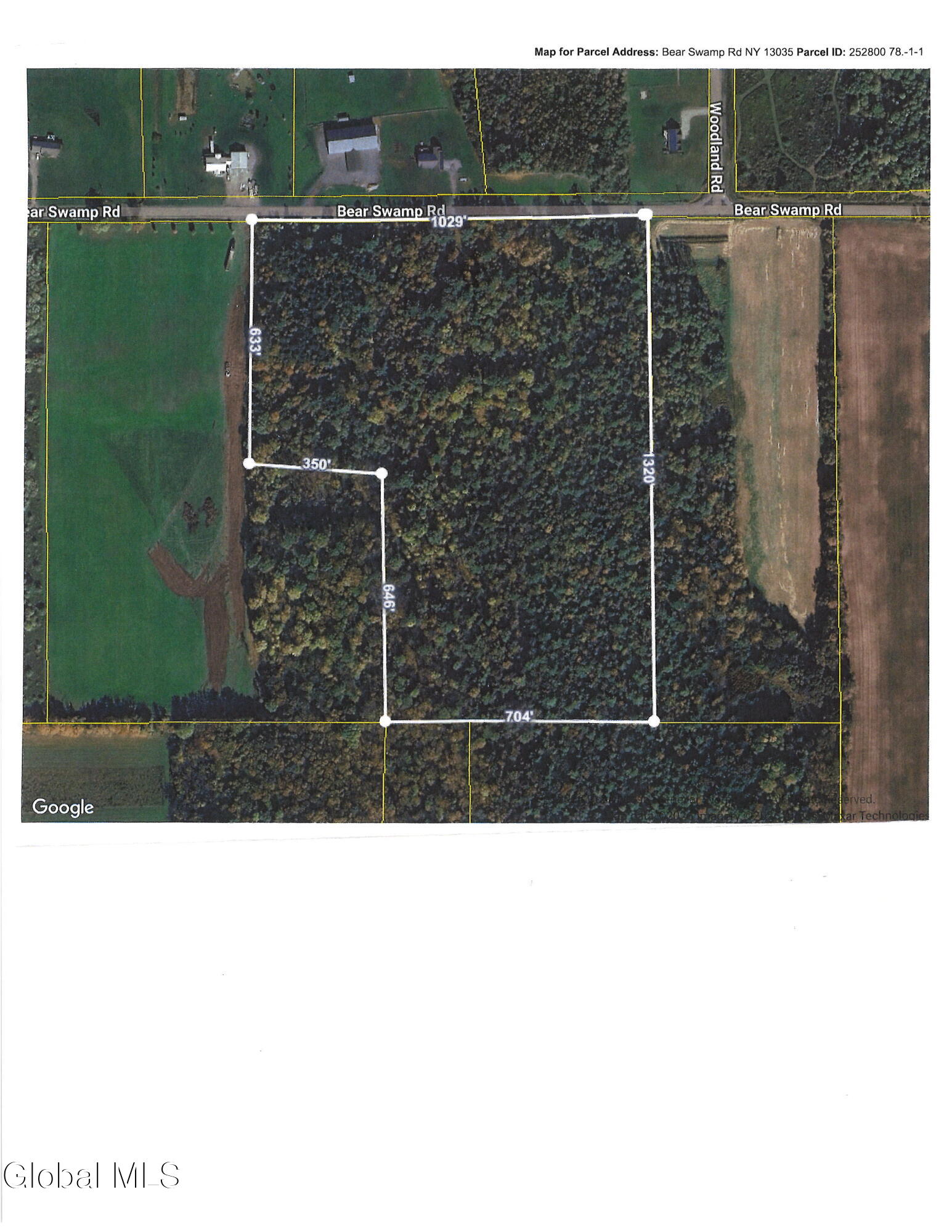 L1 Bear Swamp Road Cazenovia NY 13035