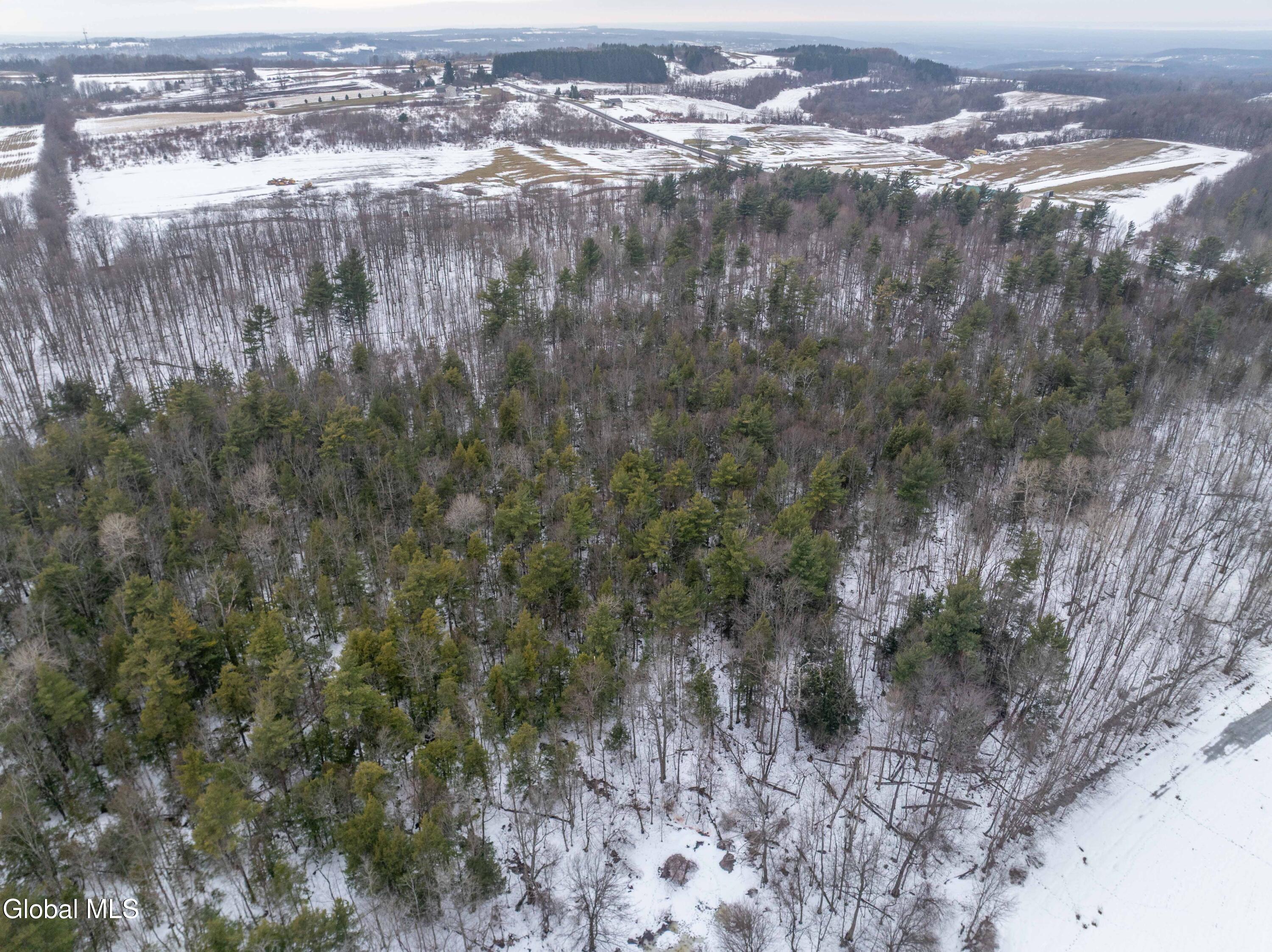 L1 Bear Swamp Road Cazenovia NY 13035