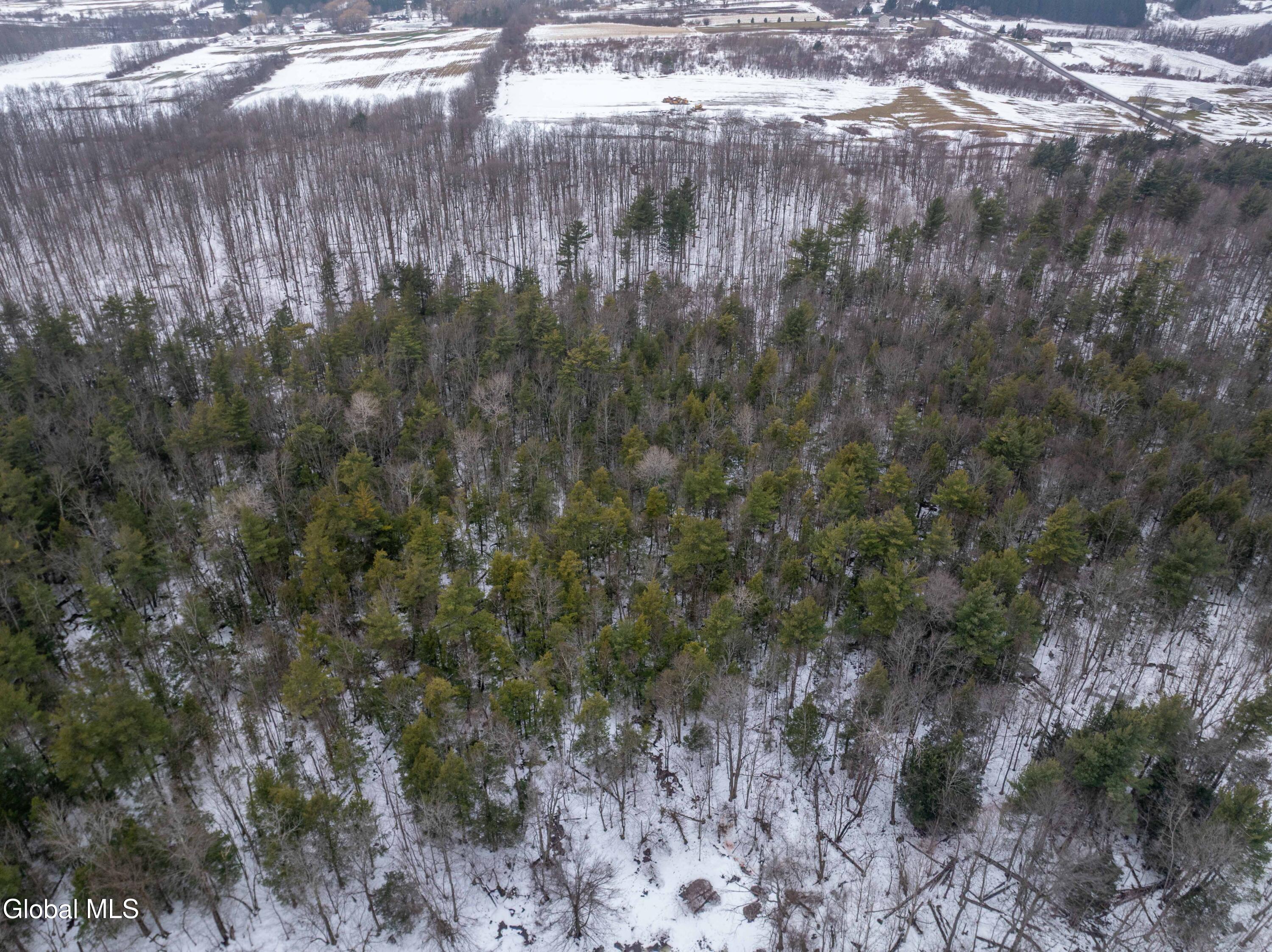 L1 Bear Swamp Road Cazenovia NY 13035