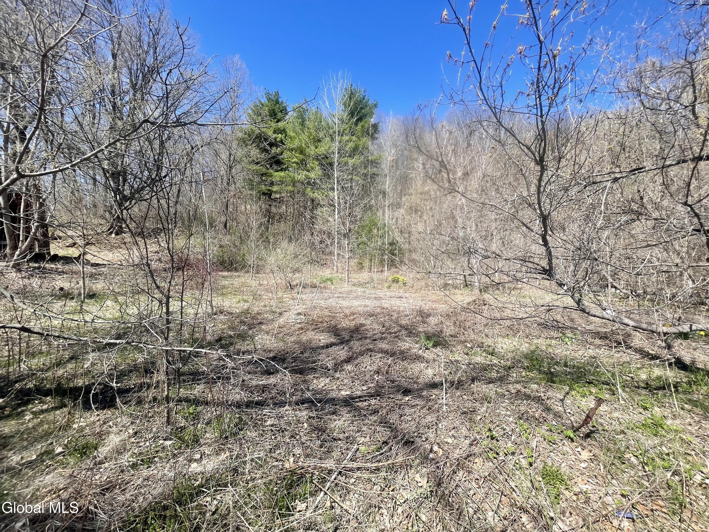 38 Burgoyne Road Ticonderoga NY 12883
