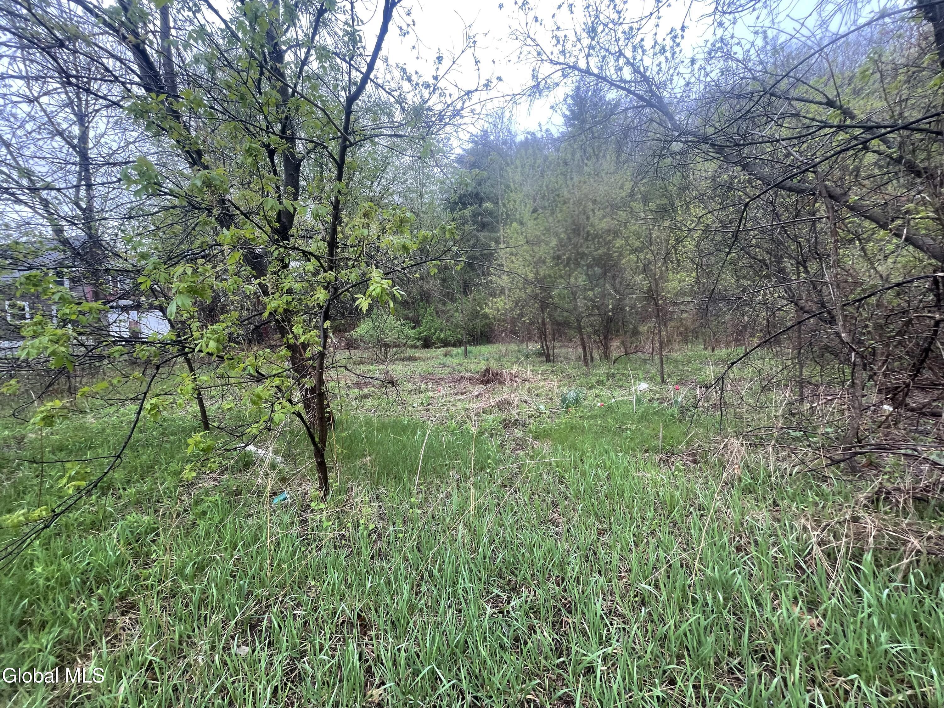 38 Burgoyne Road Ticonderoga NY 12883