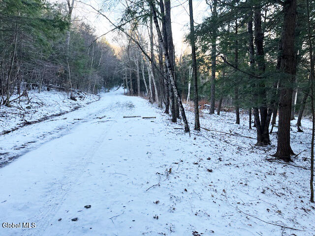 L29 Mountain Crest Road Warnerville NY 12187