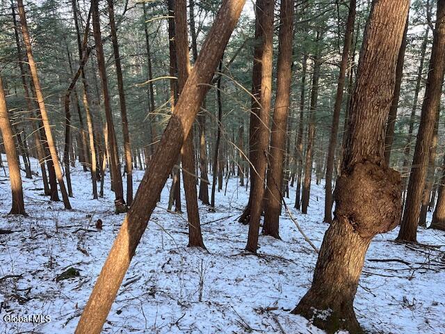 L29 Mountain Crest Road Warnerville NY 12187
