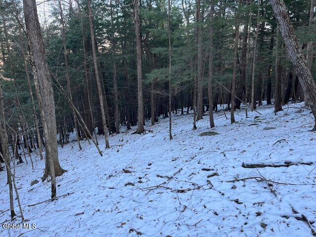 L29 Mountain Crest Road Warnerville NY 12187