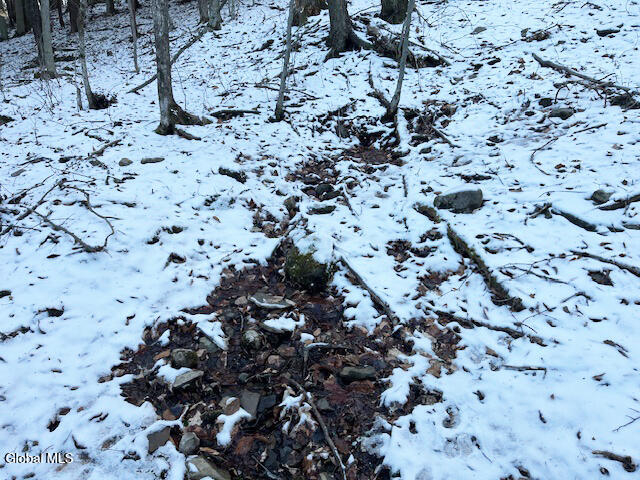 L29 Mountain Crest Road Warnerville NY 12187
