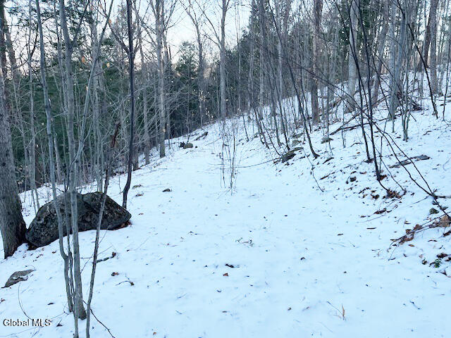 L29 Mountain Crest Road Warnerville NY 12187