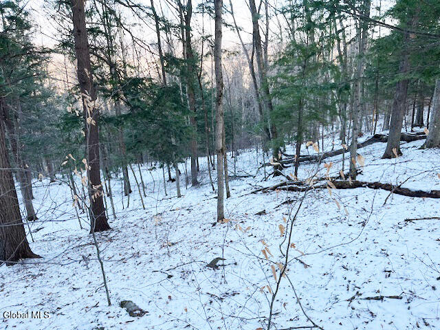 L29 Mountain Crest Road Warnerville NY 12187