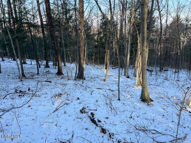 L29 Mountain Crest Road Warnerville NY 12187