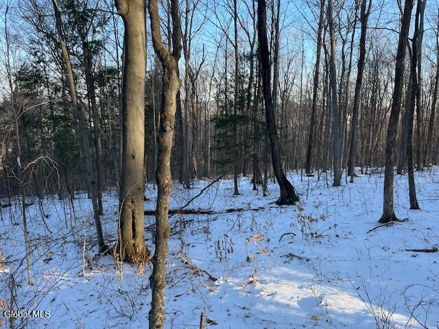 L29 Mountain Crest Road Warnerville NY 12187