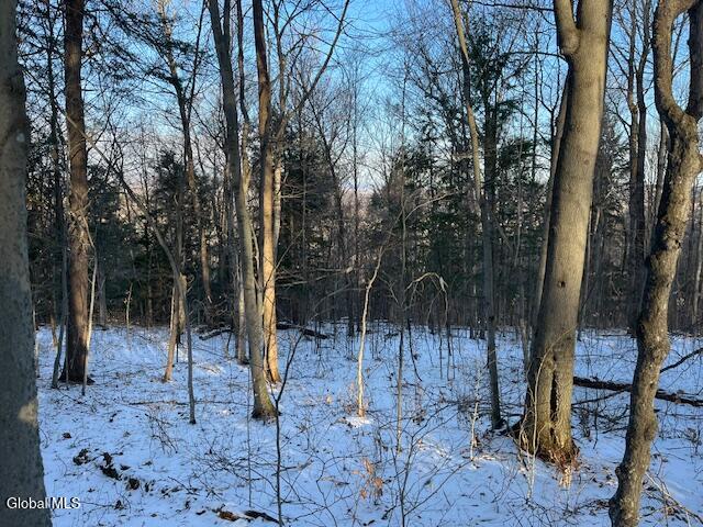 L29 Mountain Crest Road Warnerville NY 12187