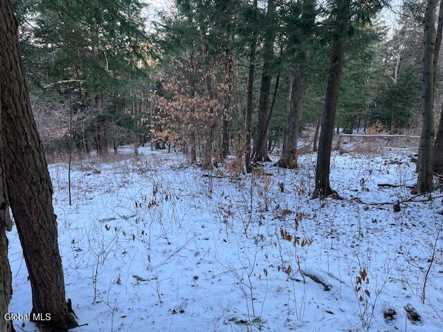 L29 Mountain Crest Road Warnerville NY 12187