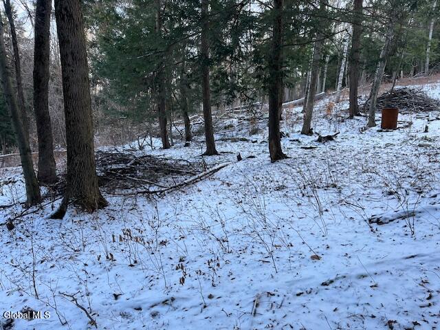L29 Mountain Crest Road Warnerville NY 12187