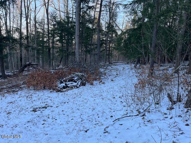 L29 Mountain Crest Road Warnerville NY 12187
