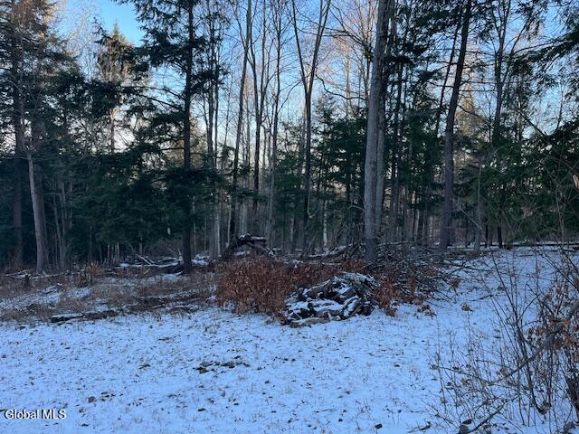 L29 Mountain Crest Road Warnerville NY 12187