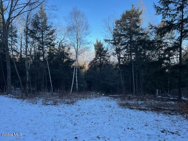 L29 Mountain Crest Road Warnerville NY 12187