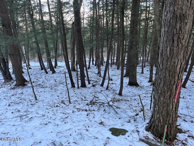 L29 Mountain Crest Road Warnerville NY 12187