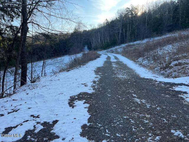 L29 Mountain Crest Road Warnerville NY 12187